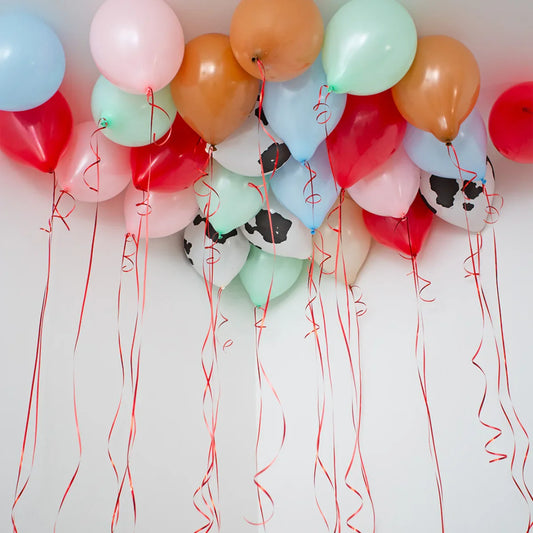Farmyard Themed Helium Ceiling Balloons – Inflated & Delivered in Dubai