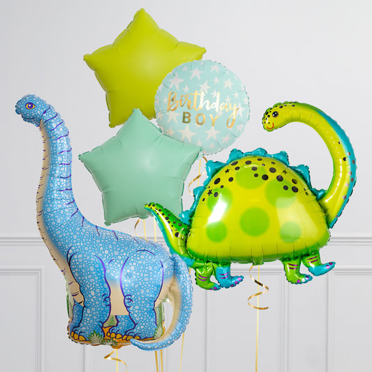 Blue Diplodocus Dinosaur Balloon Package